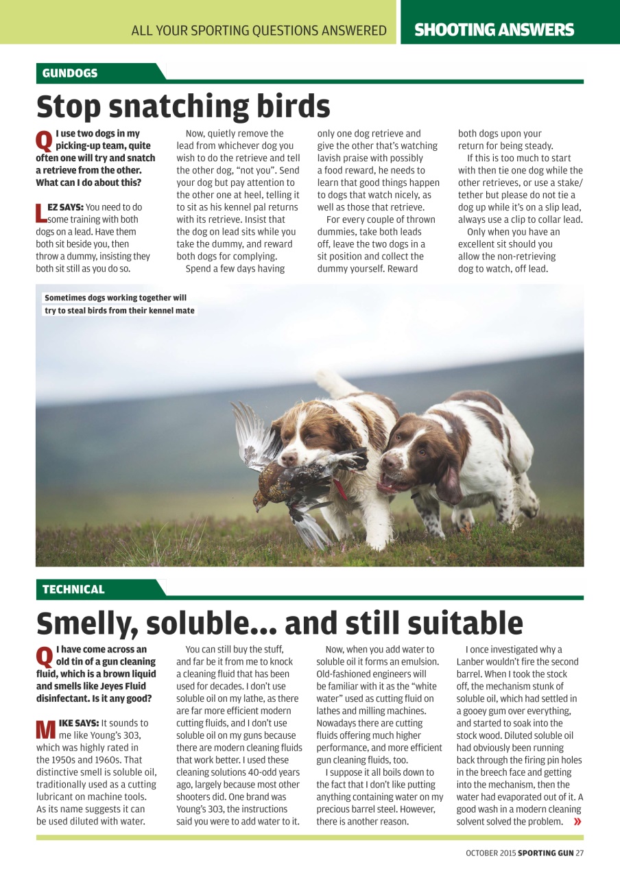 Sporting Gun Preview Pages