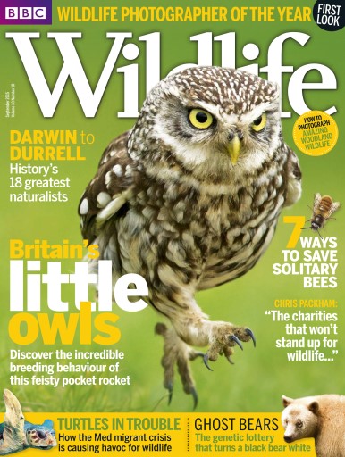 BBC Wildlife Magazine issue 