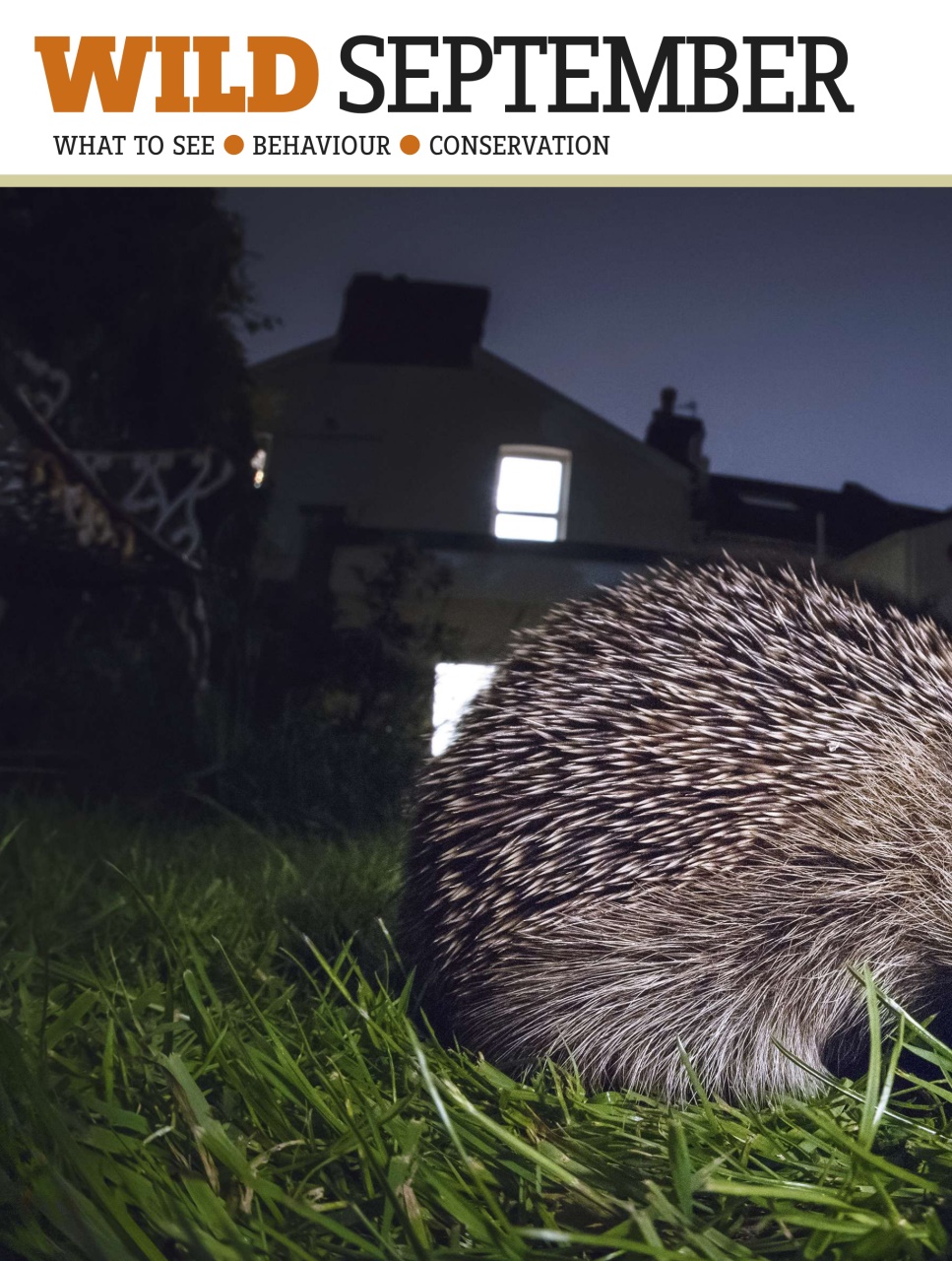 BBC Wildlife Magazine Preview Pages