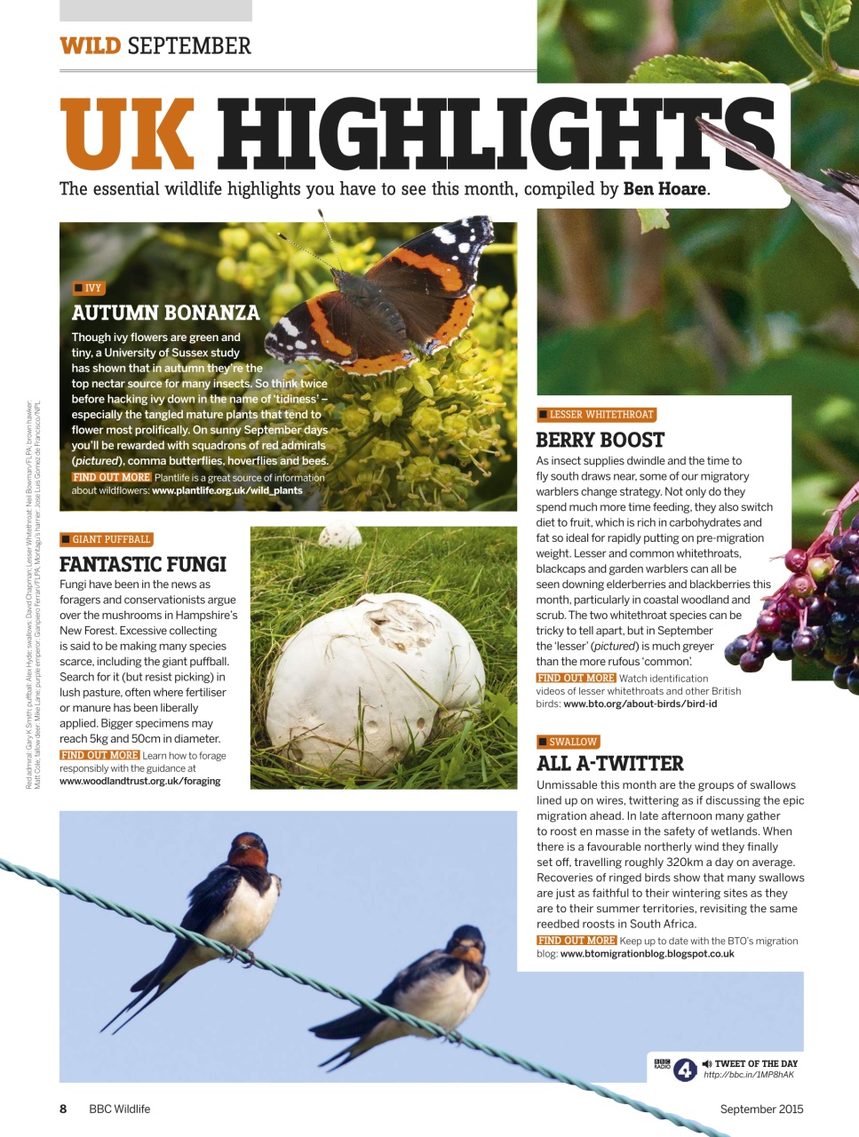 BBC Wildlife Magazine Preview Pages