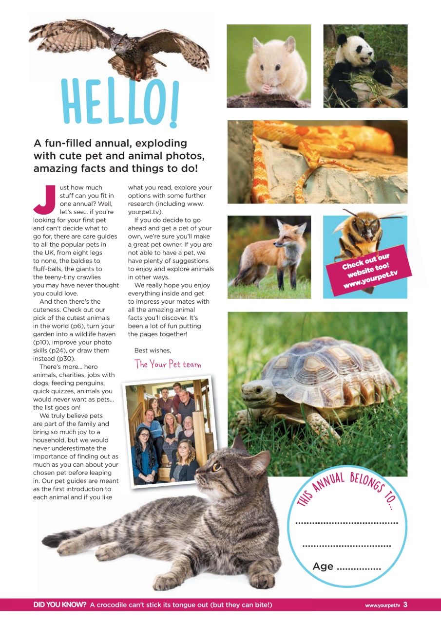 Your Dog Preview Pages