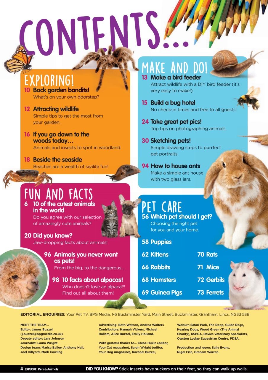 Your Dog Preview Pages