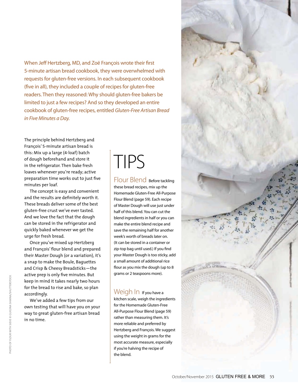 Gluten Free & More Preview Pages