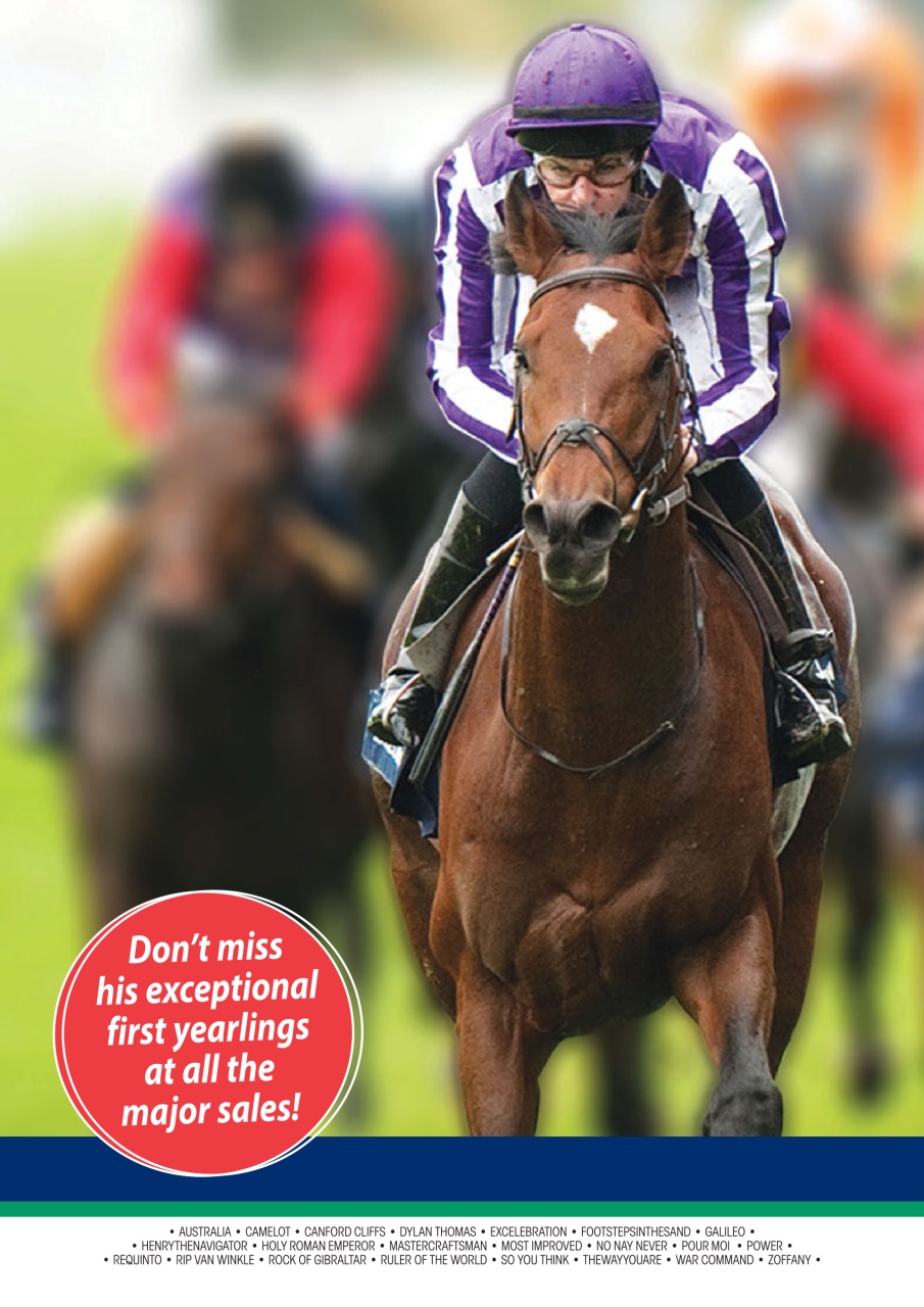 The Owner Breeder Preview Pages