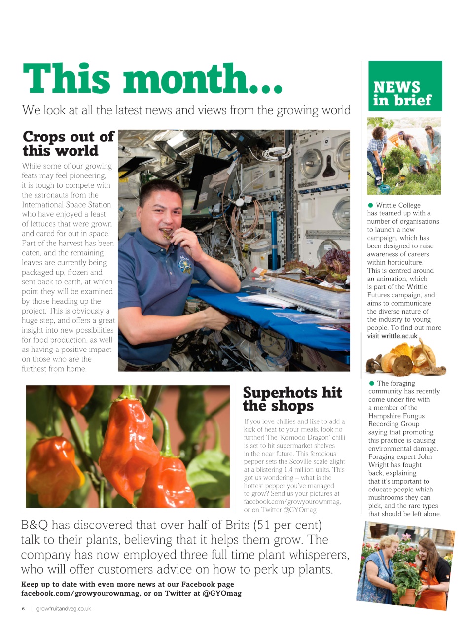 Grow Your Own Preview Pages