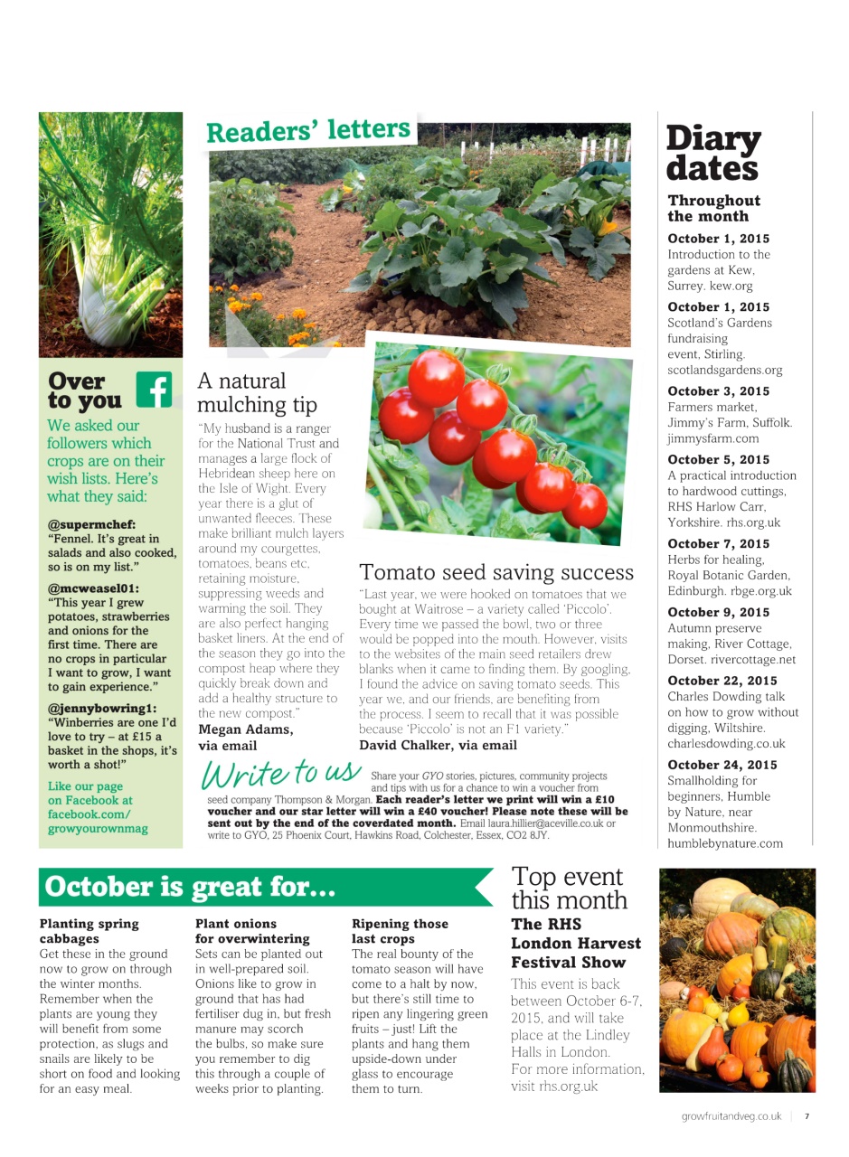 Grow Your Own Preview Pages