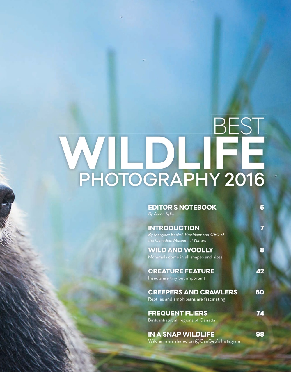 Canadian Geographic Preview Pages