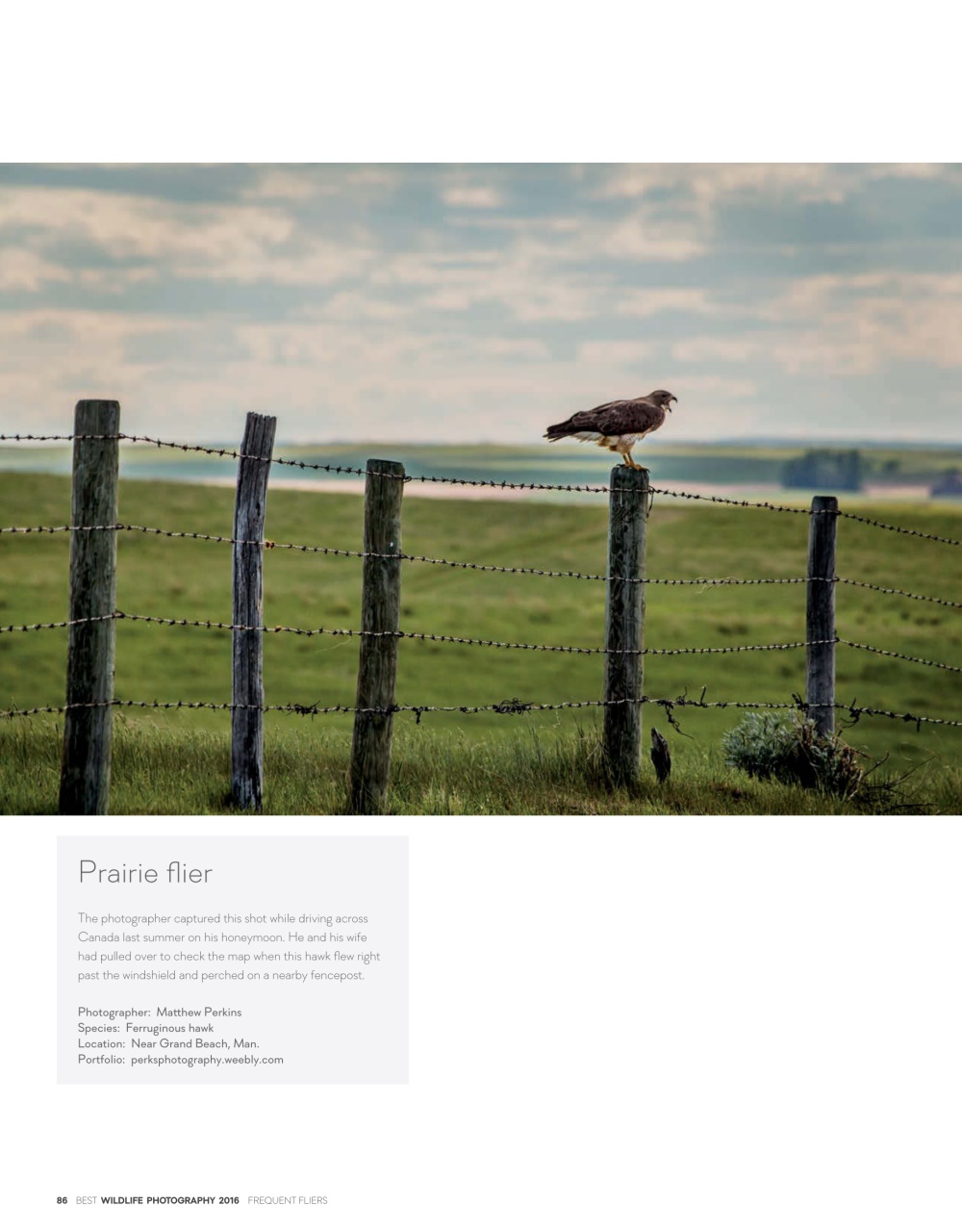 Canadian Geographic Preview Pages