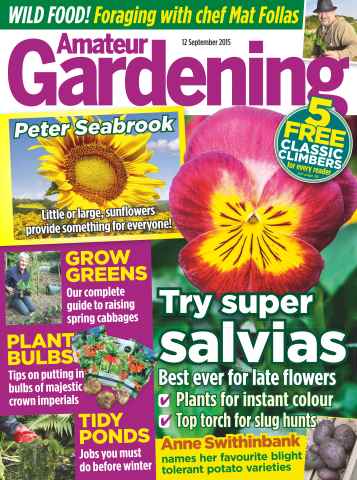 Amateur Gardening issue 12th September 2015
