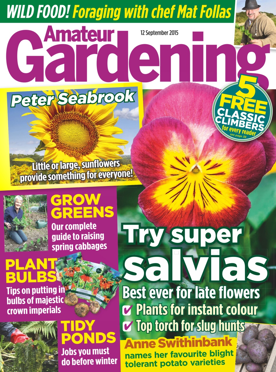 Amateur Gardening Preview Pages