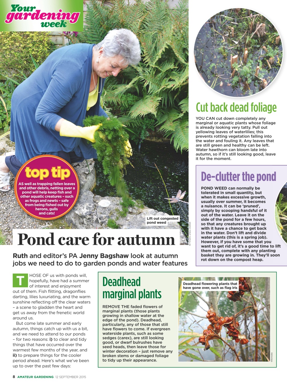 Amateur Gardening Preview Pages