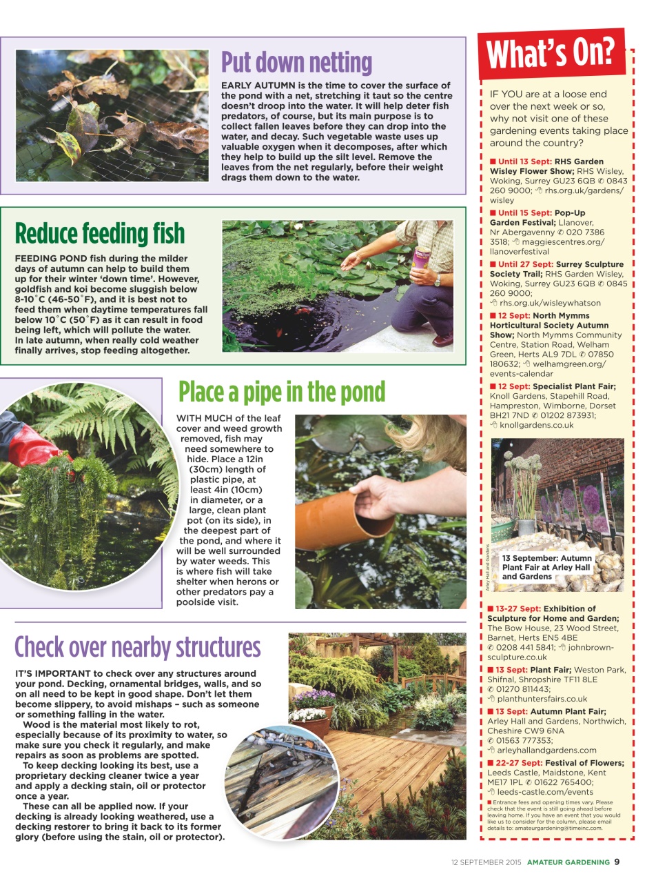 Amateur Gardening Preview Pages