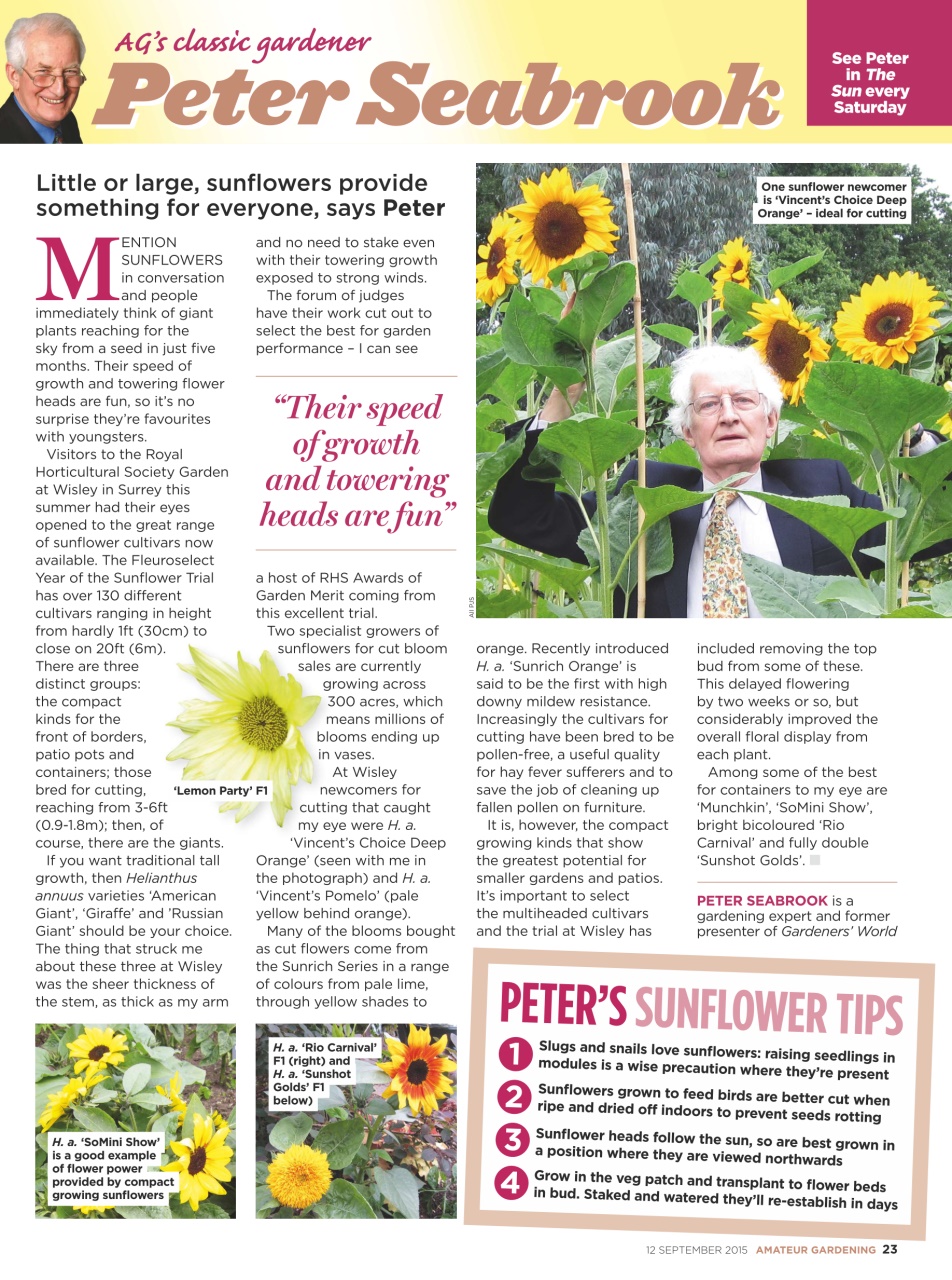 Amateur Gardening Preview Pages