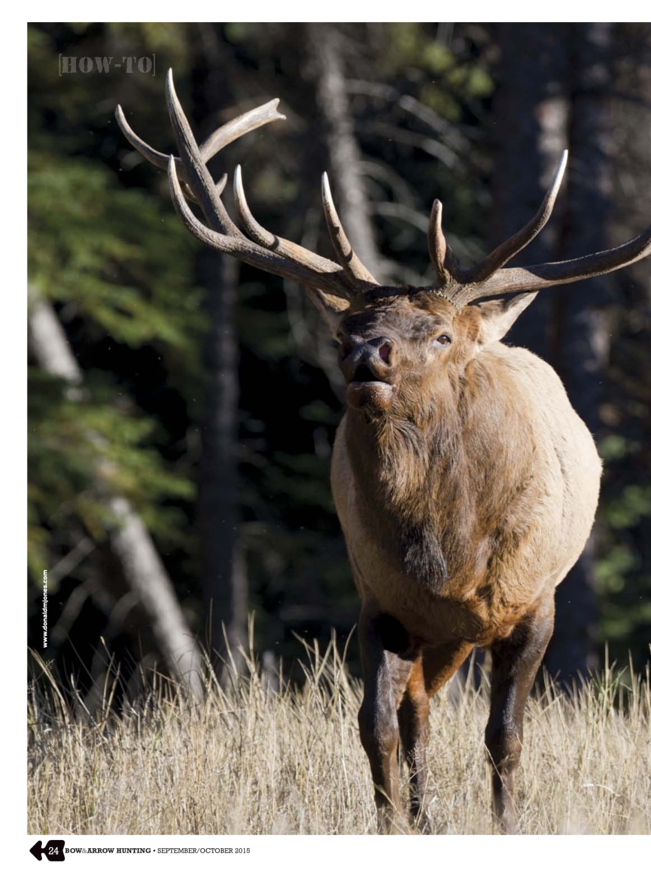 Bow & Arrow Hunting Preview Pages