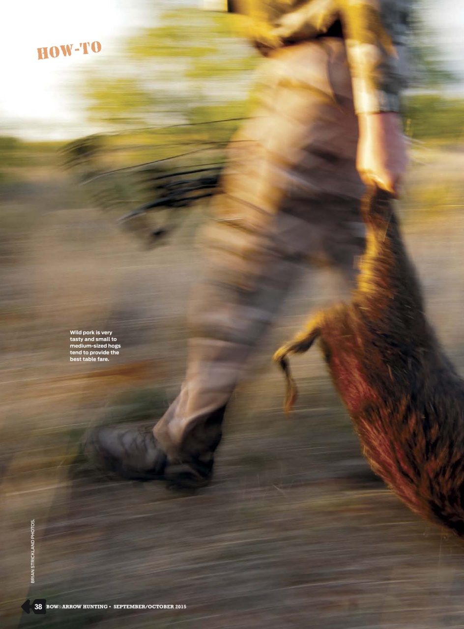 Bow & Arrow Hunting Preview Pages