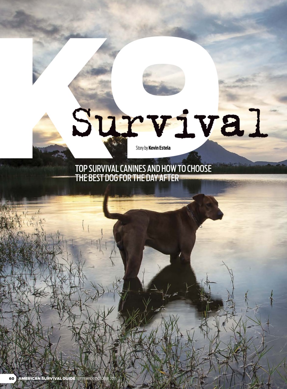 American Outdoor Guide: Boundless Preview Pages