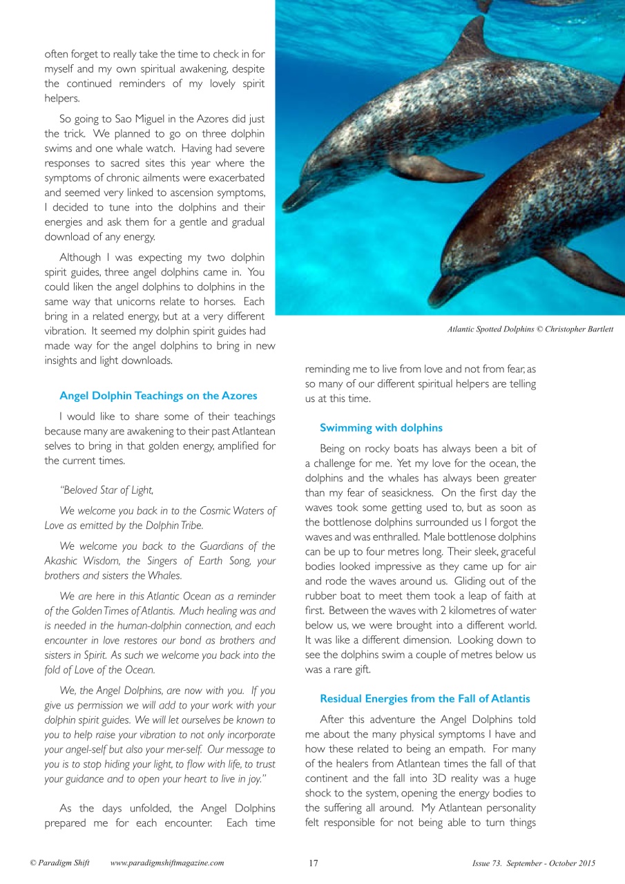 Paradigm Shift Preview Pages