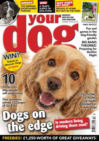 Your Dog issue Your Dog Magazine October 2015