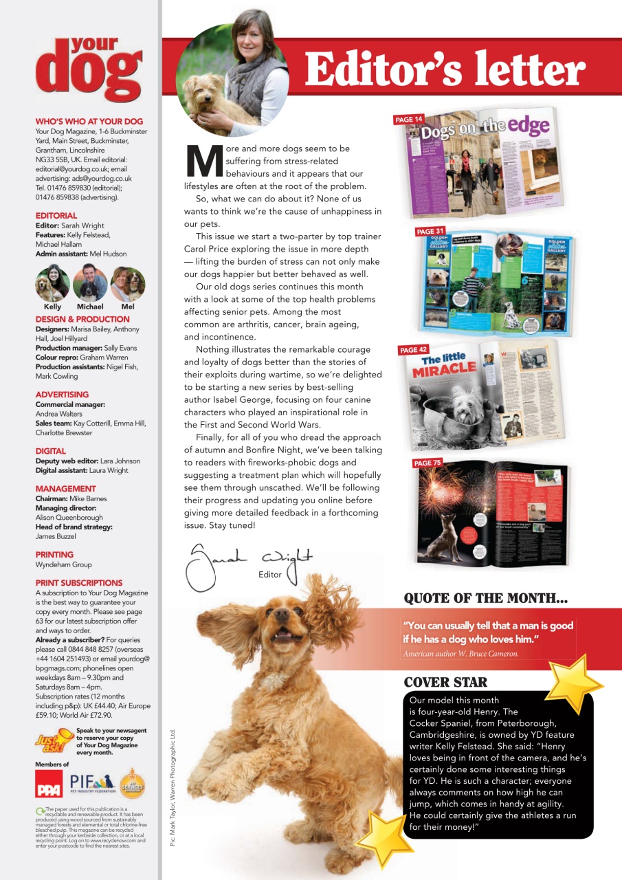 Your Dog Preview Pages