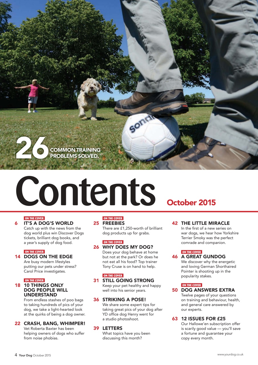 Your Dog Preview Pages