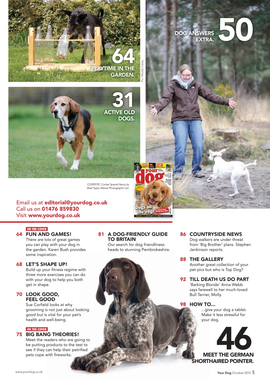 Your Dog Preview Pages