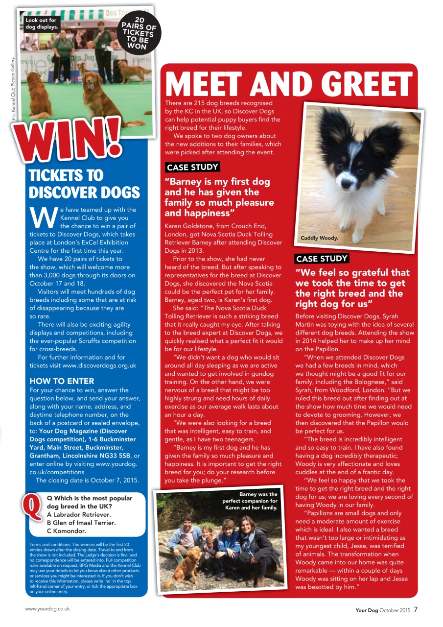 Your Dog Preview Pages