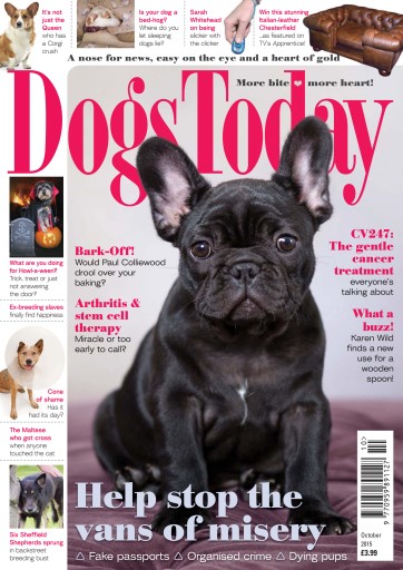 Dogs Today Magazine issue 