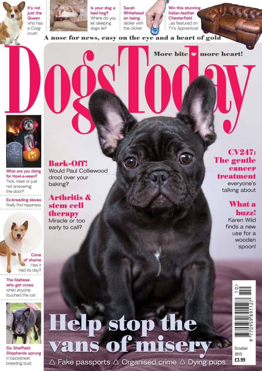 Dogs Today Magazine Preview Pages