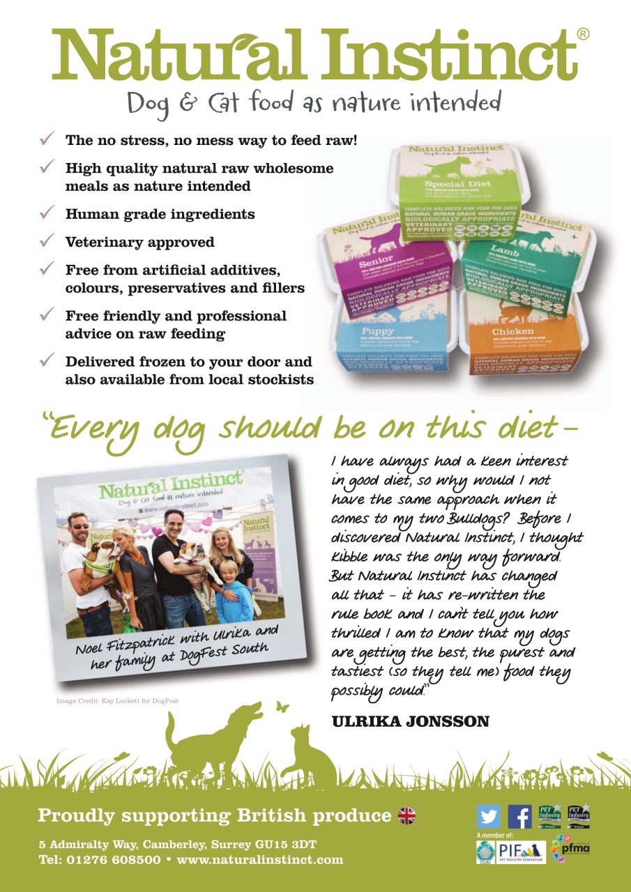 Dogs Today Magazine Preview Pages