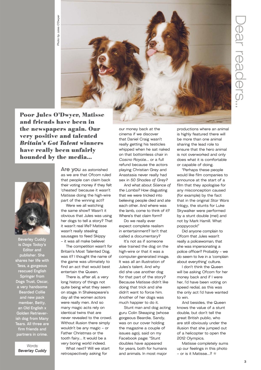Dogs Today Magazine Preview Pages