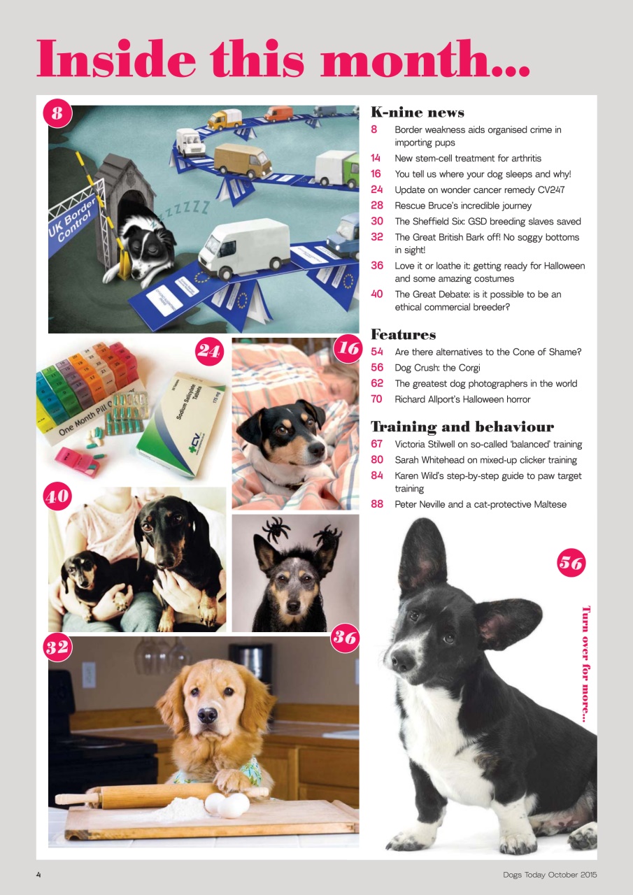 Dogs Today Magazine Preview Pages