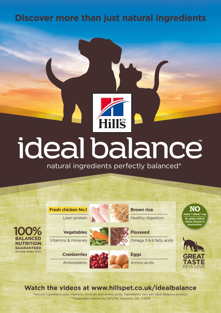 Dogs Today Magazine Preview Pages