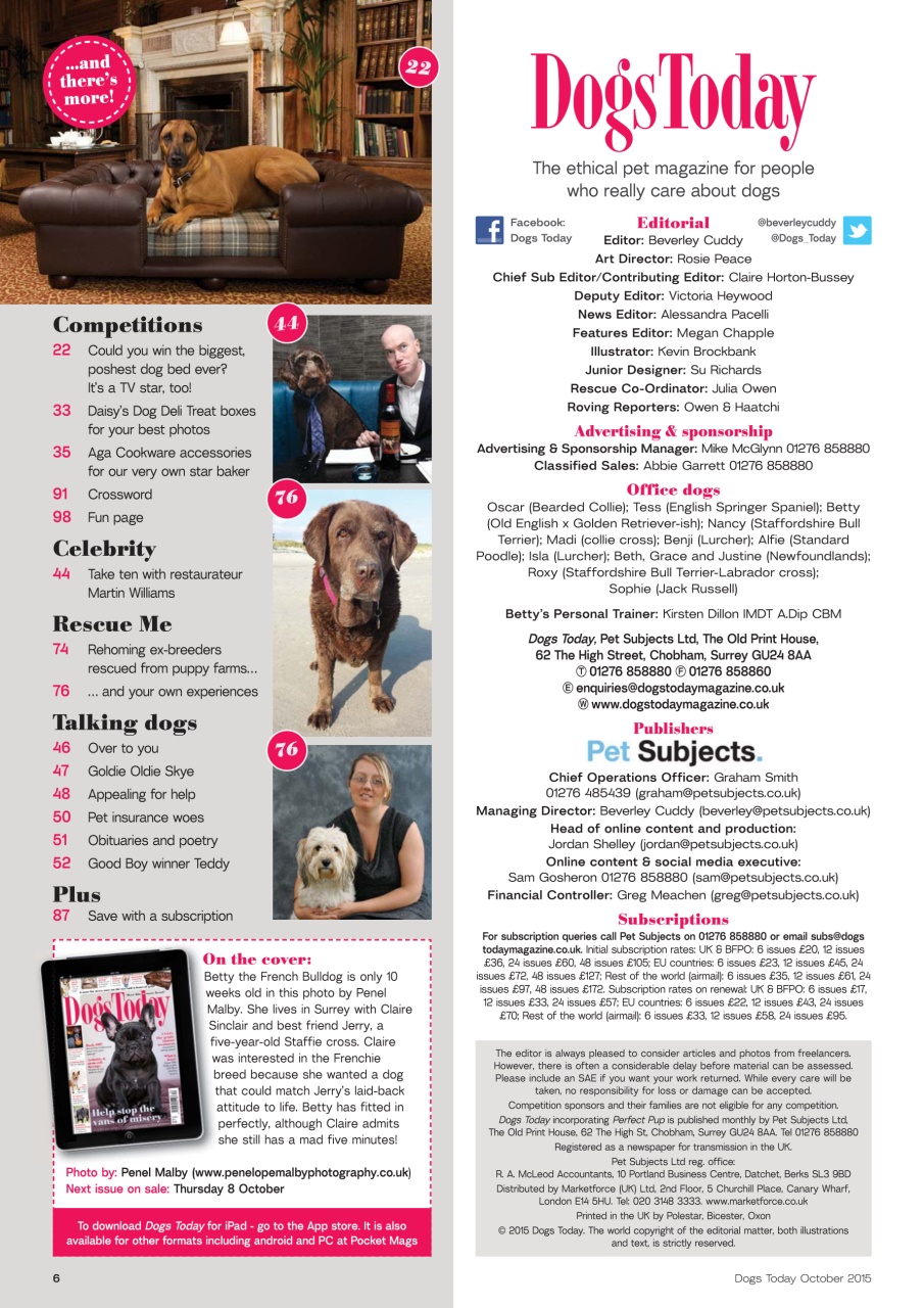 Dogs Today Magazine Preview Pages
