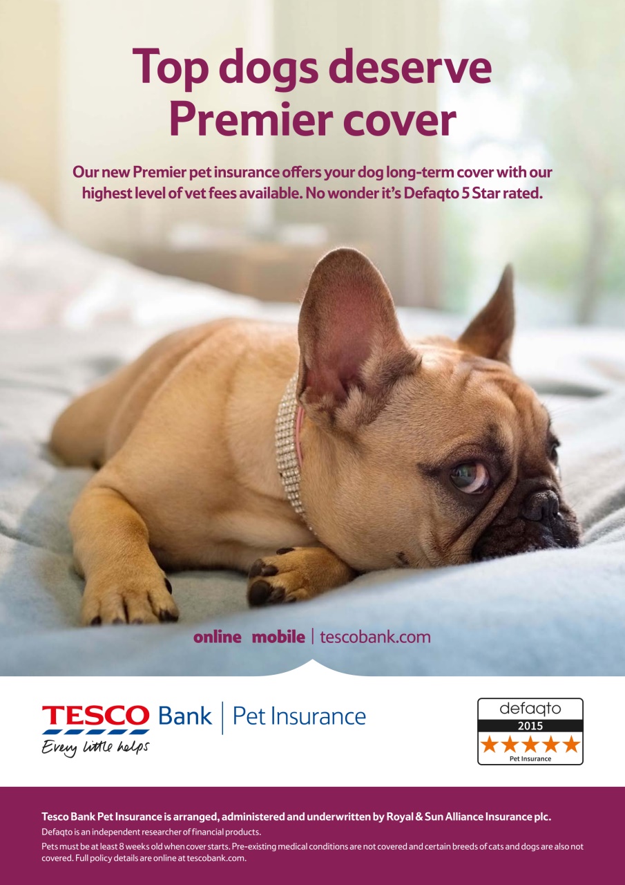 Dogs Today Magazine Preview Pages