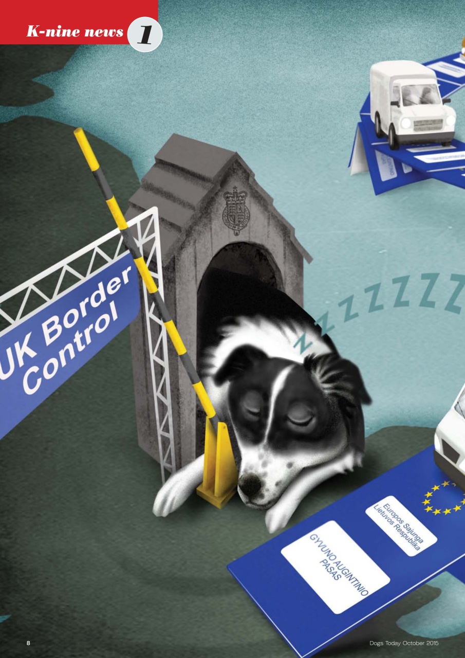 Dogs Today Magazine Preview Pages