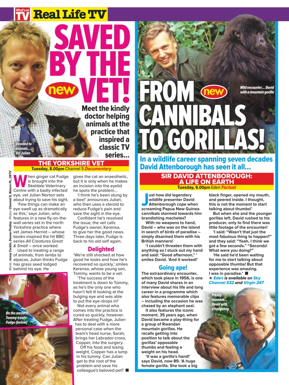 What's on TV Preview Pages