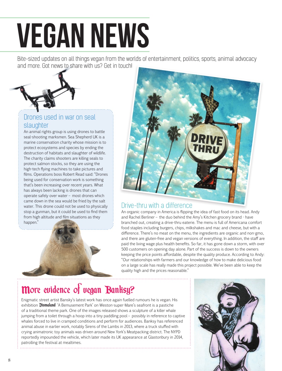 Vegan Life Preview Pages
