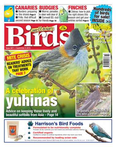 Cage & Aviary Birds issue No. 5871 A Celebration of Yuhinas