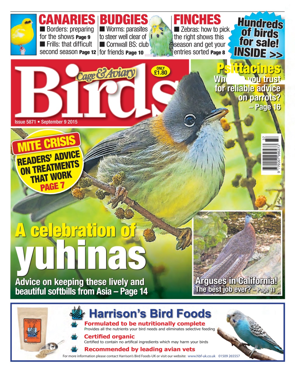 Cage & Aviary Birds Preview Pages