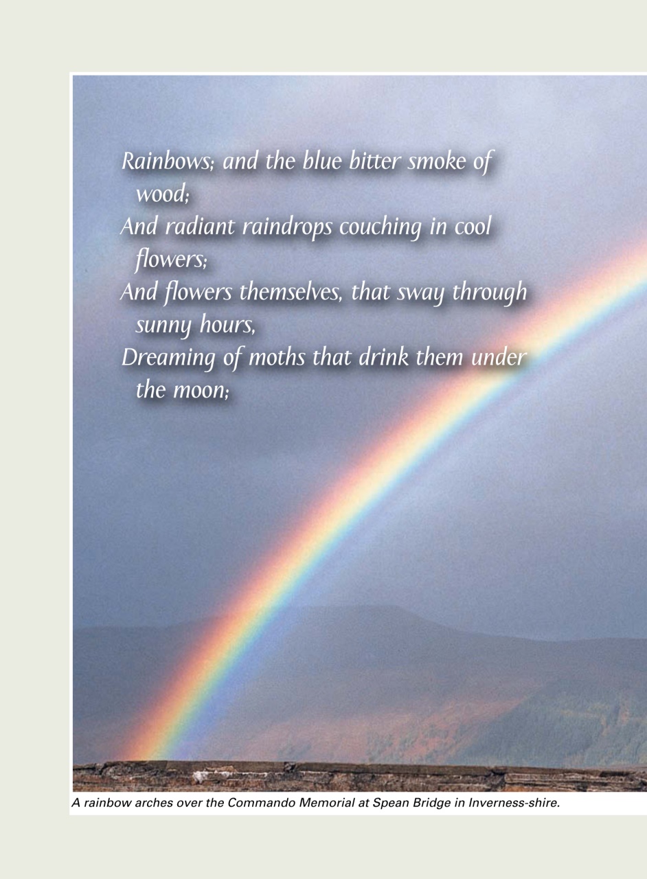 Evergreen Preview Pages