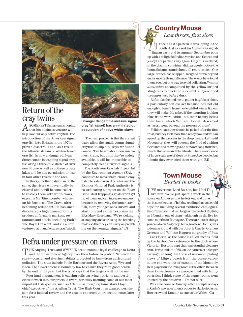 Country Life Preview Pages