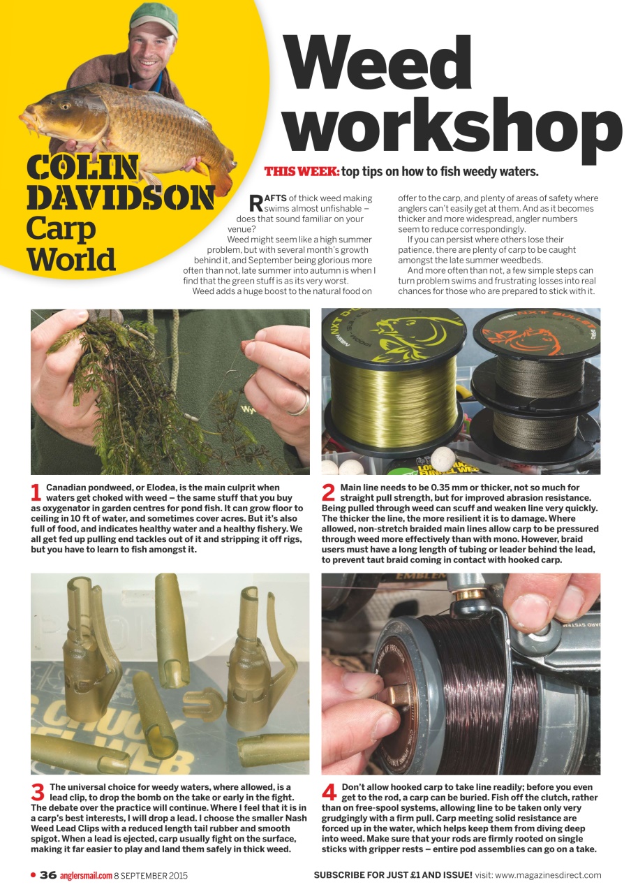 Anglers Mail Preview Pages
