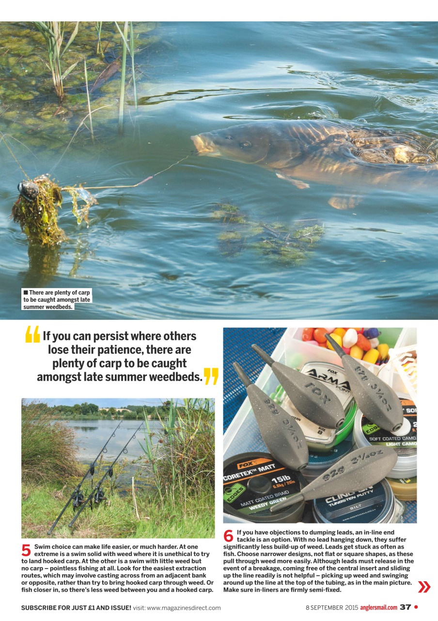 Anglers Mail Preview Pages