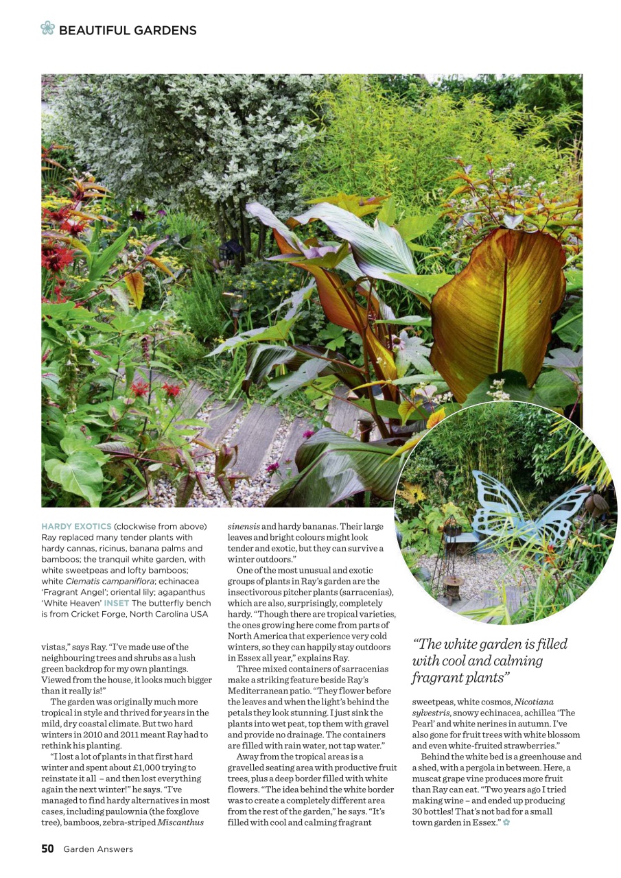 Garden Answers Preview Pages