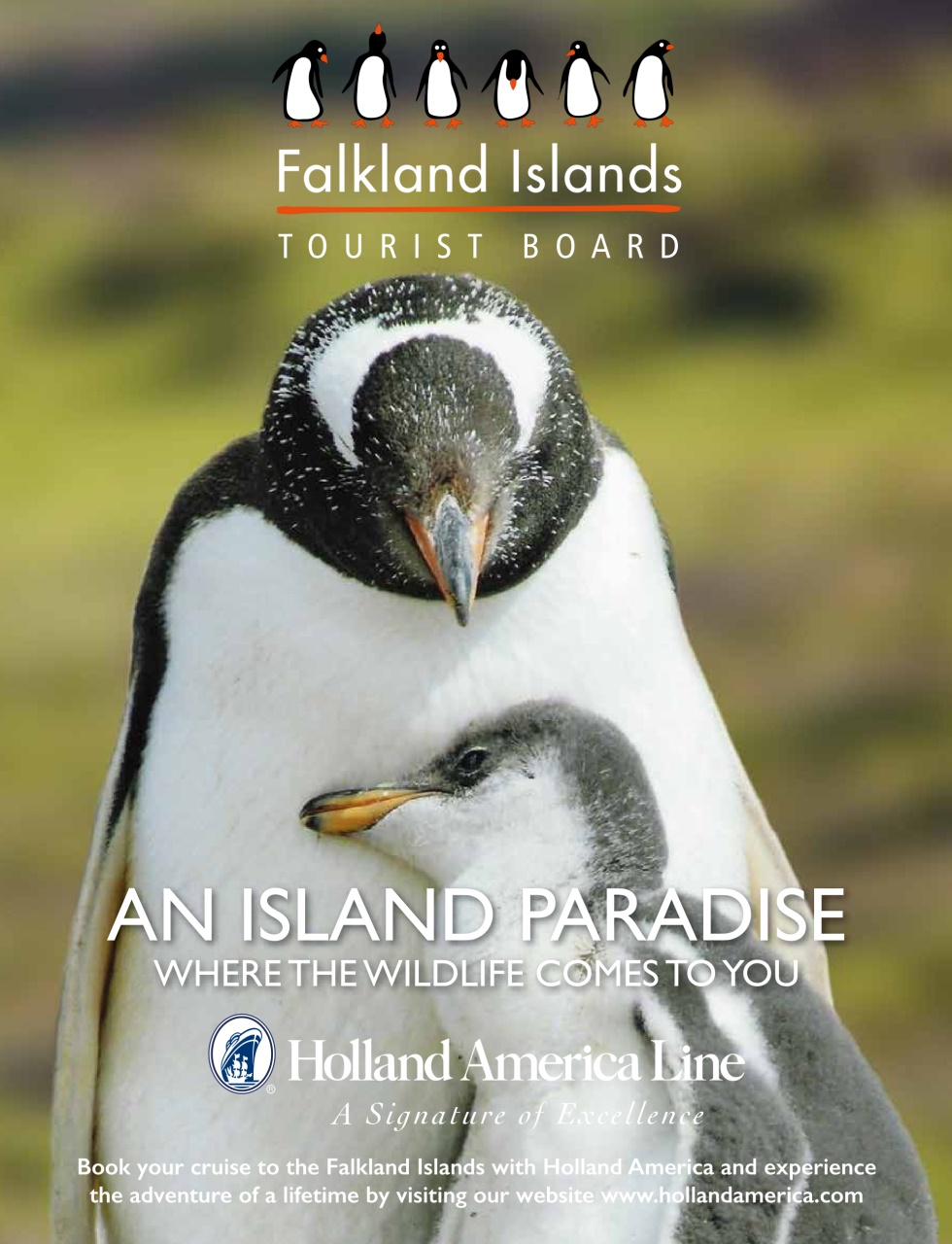 Cruise & Travel Preview Pages