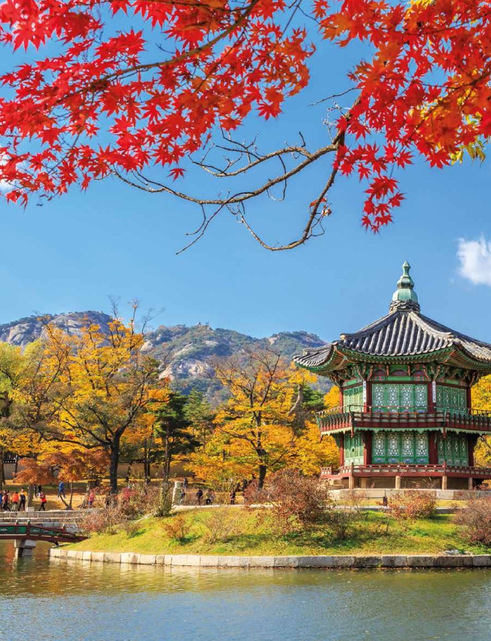 Cruise & Travel Preview Pages