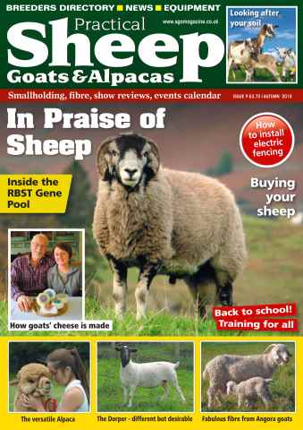 The Smallholder issue No. 10 In Praise of Sheep
