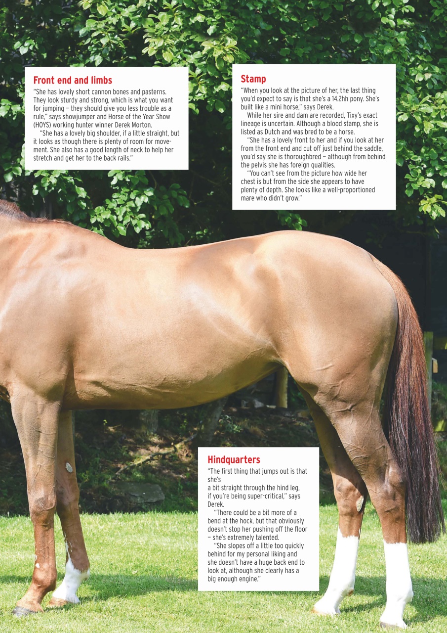 Horse & Hound Preview Pages
