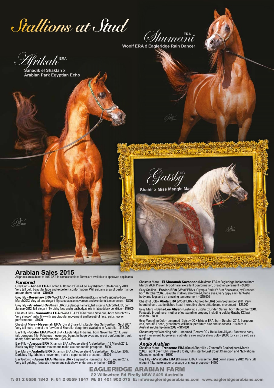 Australian Arabian Horse News Preview Pages