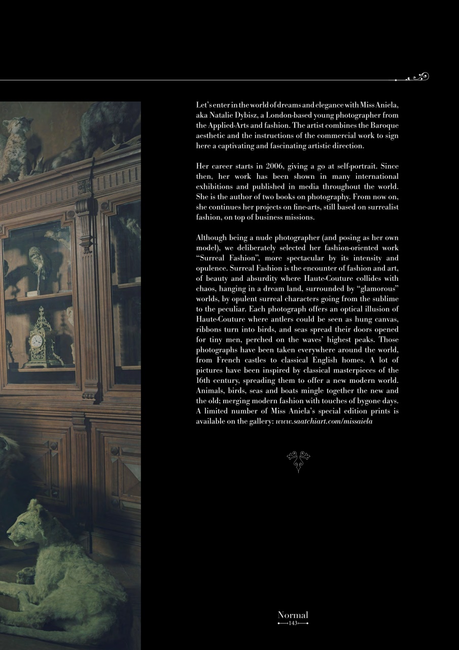 Normal Magazine Preview Pages